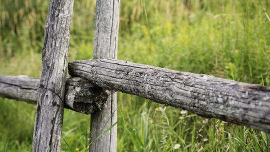 Opsætning af trådhegn er det bedste jeg ved